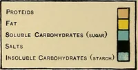 Picture 5 of 83 from The diseases of infancy and childhood : for the use of students and practitioners of medicine / by L. Emmett Holt with two hundred and forty-one illustrations, including eight coloured plates. (1908), leaf 190