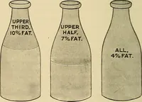Picture 10 of 83 from The diseases of infancy and childhood : for the use of students and practitioners of medicine / by L. Emmett Holt with two hundred and forty-one illustrations, including eight coloured plates. (1908), leaf 218