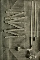 An illustration from Meningococcus meningitis / by Henry Heiman ... and Samuel Feldstein ... with introduction by Henry Koplik ... with 4 plates, 31 figures, 2 in color, and 4 charts. (1913)