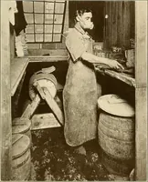 An illustration from A manual of practical hygiene for students, physicians, and health officers / By Charles Harrington. (1914)