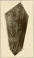An illustration from A manual of practical hygiene for students, physicians, and health officers / By Charles Harrington. (1914)