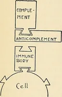 An illustration from A manual of practical hygiene for students, physicians, and health officers / By Charles Harrington. (1914)