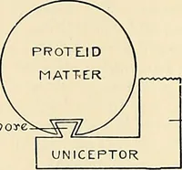 An illustration from A manual of practical hygiene for students, physicians, and health officers / By Charles Harrington. (1914)