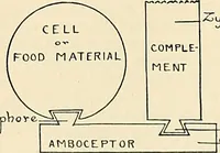 An illustration from A manual of practical hygiene for students, physicians, and health officers / By Charles Harrington. (1914)