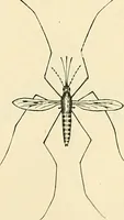 An illustration from A manual of practical hygiene for students, physicians, and health officers / By Charles Harrington. (1914)