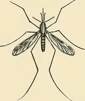 An illustration from A manual of practical hygiene for students, physicians, and health officers / By Charles Harrington. (1914)