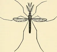 An illustration from A manual of practical hygiene for students, physicians, and health officers / By Charles Harrington. (1914)