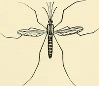 An illustration from A manual of practical hygiene for students, physicians, and health officers / By Charles Harrington. (1914)