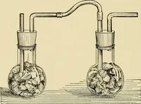 An illustration from A manual of practical hygiene for students, physicians, and medical officers / by Charles Harrington. (1905)
