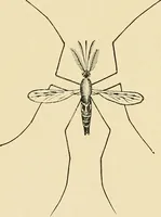 Picture 95 of 111 from A manual of practical hygiene for students, physicians, and medical officers / by Charles Harrington. (1905), leaf 668