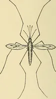 Picture 96 of 111 from A manual of practical hygiene for students, physicians, and medical officers / by Charles Harrington. (1905), leaf 668