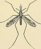 An illustration from A manual of practical hygiene for students, physicians, and medical officers / by Charles Harrington. (1905)