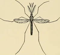 An illustration from A manual of practical hygiene for students, physicians, and medical officers / by Charles Harrington. (1905)