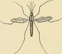 An illustration from A manual of practical hygiene for students, physicians, and medical officers / by Charles Harrington. (1905)