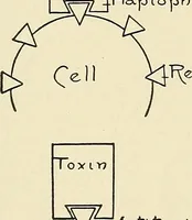 Picture 107 of 111 from A manual of practical hygiene for students, physicians, and medical officers / by Charles Harrington. (1905), leaf 755