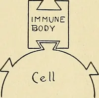 Picture 109 of 111 from A manual of practical hygiene for students, physicians, and medical officers / by Charles Harrington. (1905), leaf 765