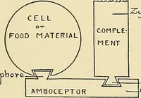 Picture 111 of 111 from A manual of practical hygiene for students, physicians, and medical officers / by Charles Harrington. (1905), leaf 769