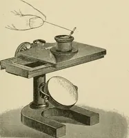 An illustration from Practical diagnosis: the use of symptoms in the diagnosis of disease / By Hobart Amory Hare ... Illustrated with 191 engravings and 13 colored plates. (1896)