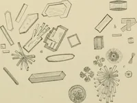 An illustration from Practical diagnosis: the use of symptoms in the diagnosis of disease / By Hobart Amory Hare ... Illustrated with 191 engravings and 13 colored plates. (1896)