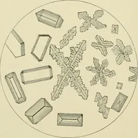 An illustration from Practical diagnosis: the use of symptoms in the diagnosis of disease / By Hobart Amory Hare ... Illustrated with 191 engravings and 13 colored plates. (1896)