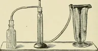 An illustration from Practical diagnosis: the use of symptoms in the diagnosis of disease / By Hobart Amory Hare ... Illustrated with 191 engravings and 13 colored plates. (1896)