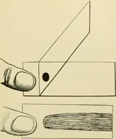 An illustration from A manual of experimental physiology for students of medicine / By Winfield S. Hall ... With 89 illustrations and a colored plate. (1904)