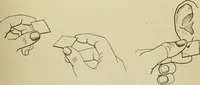 Picture 58 of 71 from A manual of experimental physiology for students of medicine / By Winfield S. Hall ... With 89 illustrations and a colored plate. (1904), leaf 151