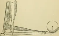 An illustration from A manual of experimental physiology for students of medicine / By Winfield S. Hall ... With 89 illustrations and a colored plate. (1904)