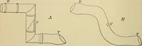 An illustration from A manual of experimental physiology for students of medicine / By Winfield S. Hall ... With 89 illustrations and a colored plate. (1904)