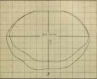 Picture 70 of 71 from A manual of experimental physiology for students of medicine / By Winfield S. Hall ... With 89 illustrations and a colored plate. (1904), leaf 243