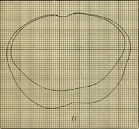 Picture 71 of 71 from A manual of experimental physiology for students of medicine / By Winfield S. Hall ... With 89 illustrations and a colored plate. (1904), leaf 243