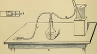Picture 12 of 71 from A manual of experimental physiology for students of medicine / By Winfield S. Hall ... With 89 illustrations and a colored plate. (1904), leaf 34