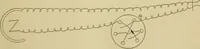 Picture 17 of 71 from A manual of experimental physiology for students of medicine / By Winfield S. Hall ... With 89 illustrations and a colored plate. (1904), leaf 39