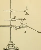 An illustration from A manual of experimental physiology for students of medicine / By Winfield S. Hall ... With 89 illustrations and a colored plate. (1904)