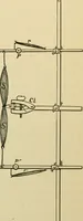 Picture 27 of 71 from A manual of experimental physiology for students of medicine / By Winfield S. Hall ... With 89 illustrations and a colored plate. (1904), leaf 59