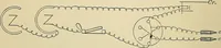 An illustration from A manual of experimental physiology for students of medicine / By Winfield S. Hall ... With 89 illustrations and a colored plate. (1904)