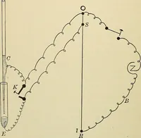 An illustration from A manual of experimental physiology for students of medicine / By Winfield S. Hall ... With 89 illustrations and a colored plate. (1904)