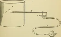 An illustration from A manual of experimental physiology for students of medicine / By Winfield S. Hall ... With 89 illustrations and a colored plate. (1904)