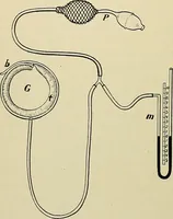 Picture 43 of 71 from A manual of experimental physiology for students of medicine / By Winfield S. Hall ... With 89 illustrations and a colored plate. (1904), leaf 94