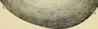 An illustration from Handbook of physiology : for students and practitioners of medicine / by Austin Flint ... with two hundred and forty-seven illustrations in the text--including four in colors--and an atlas of sixteen color-plates, including forty-eight original figures taken from actual stained microscopical preparation. (1905)
