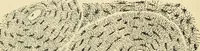 Picture 75 of 214 from Handbook of physiology : for students and practitioners of medicine / by Austin Flint ... with two hundred and forty-seven illustrations in the text--including four in colors--and an atlas of sixteen color-plates, including forty-eight original figures taken from actual stained microscopical preparation. (1905), leaf 468