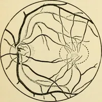 An illustration from Handbook of physiology : for students and practitioners of medicine / by Austin Flint ... with two hundred and forty-seven illustrations in the text--including four in colors--and an atlas of sixteen color-plates, including forty-eight original figures taken from actual stained microscopical preparation. (1905)