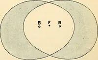 An illustration from Handbook of physiology : for students and practitioners of medicine / by Austin Flint ... with two hundred and forty-seven illustrations in the text--including four in colors--and an atlas of sixteen color-plates, including forty-eight original figures taken from actual stained microscopical preparation. (1905)