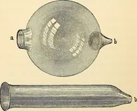 An illustration from Handbook of physiology : for students and practitioners of medicine / by Austin Flint ... with two hundred and forty-seven illustrations in the text--including four in colors--and an atlas of sixteen color-plates, including forty-eight original figures taken from actual stained microscopical preparation. (1905)