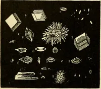 An illustration from Handbook of physiology : for students and practitioners of medicine / by Austin Flint ... with two hundred and forty-seven illustrations in the text--including four in colors--and an atlas of sixteen color-plates, including forty-eight original figures taken from actual stained microscopical preparation. (1905)