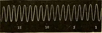 An illustration from Handbook of physiology : for students and practitioners of medicine / by Austin Flint ... with two hundred and forty-seven illustrations in the text--including four in colors--and an atlas of sixteen color-plates, including forty-eight original figures taken from actual stained microscopical preparation. (1905)