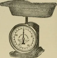 An illustration from Diseases of infancy and childhood, their dietetic, hygienic, and medical treatment : a text-book designed for practitioners and students in medicine / By Louis Fischer. (1910)