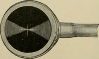 An illustration from Diseases of infancy and childhood, their dietetic, hygienic, and medical treatment : a text-book designed for practitioners and students in medicine / By Louis Fischer. (1910)