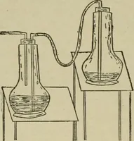 An illustration from Diseases of infancy and childhood, their dietetic, hygienic, and medical treatment : a text-book designed for practitioners and students in medicine / By Louis Fischer. (1910)