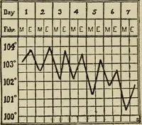 An illustration from Diseases of infancy and childhood, their dietetic, hygienic, and medical treatment : a text-book designed for practitioners and students in medicine / By Louis Fischer. (1910)